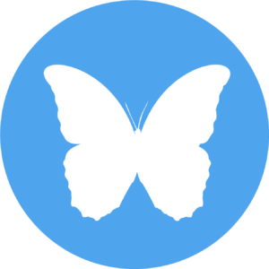 papilion butterfly 2 alone circle.webp